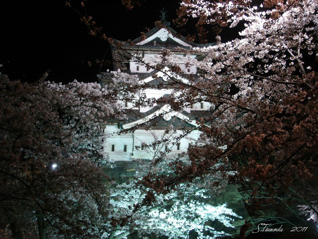 弘前城　夜桜の宴