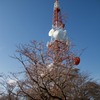 湘南のシンボルタワー