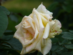 P1000738
