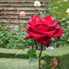 P1000783