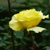 P1000785