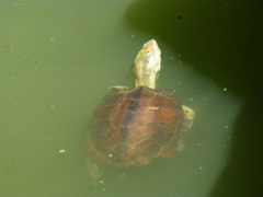 P1000573