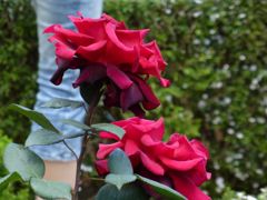 P1000213_1024