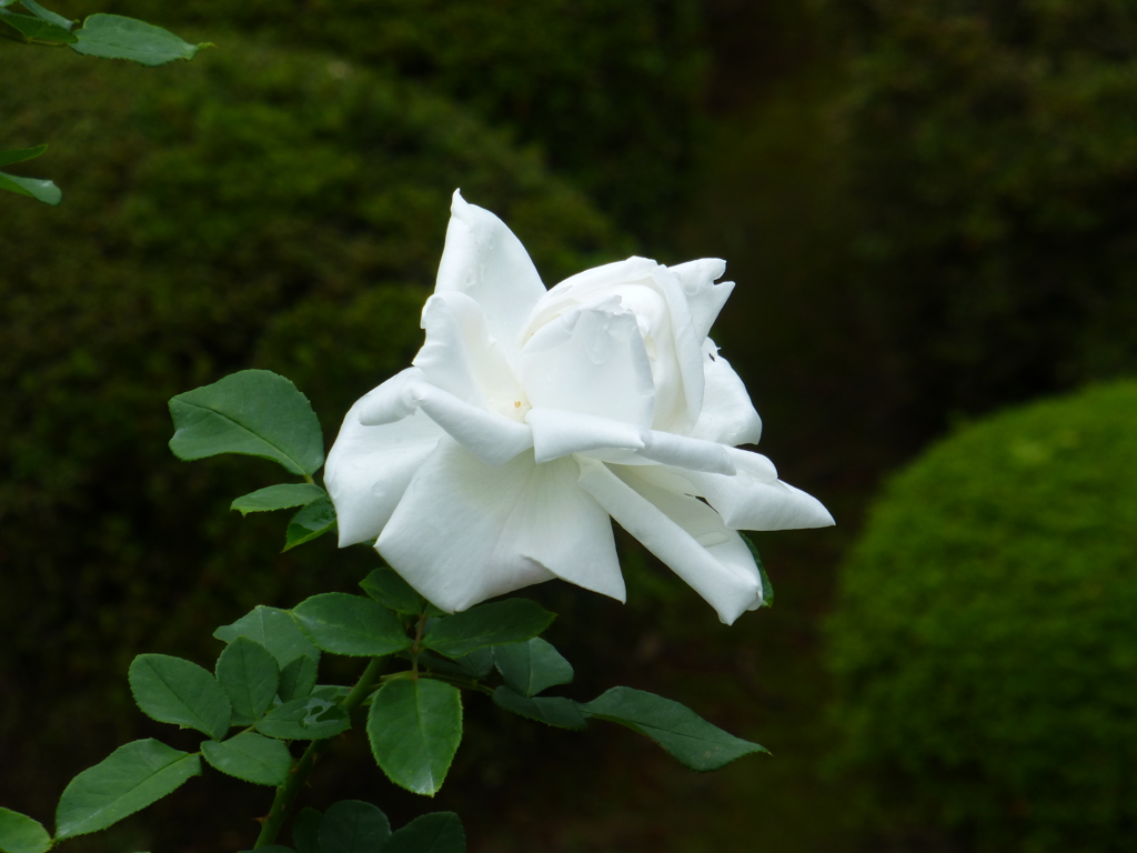 P1000795