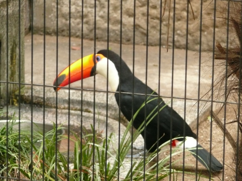 P1070418