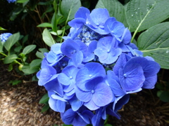 P1000508