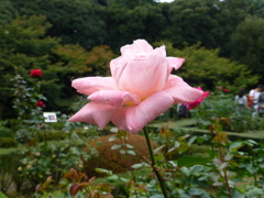 P1000773