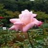 P1000773