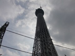 スカイツリ－