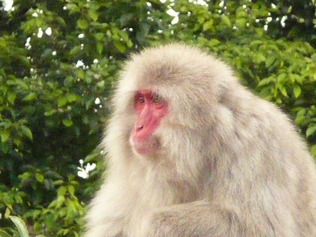 P1070465