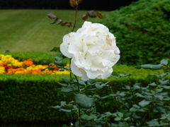 P1000732