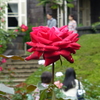 P1000782