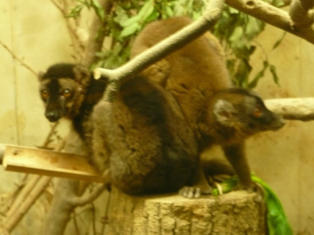 P1070487