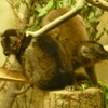 P1070487