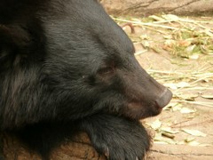 P1070453