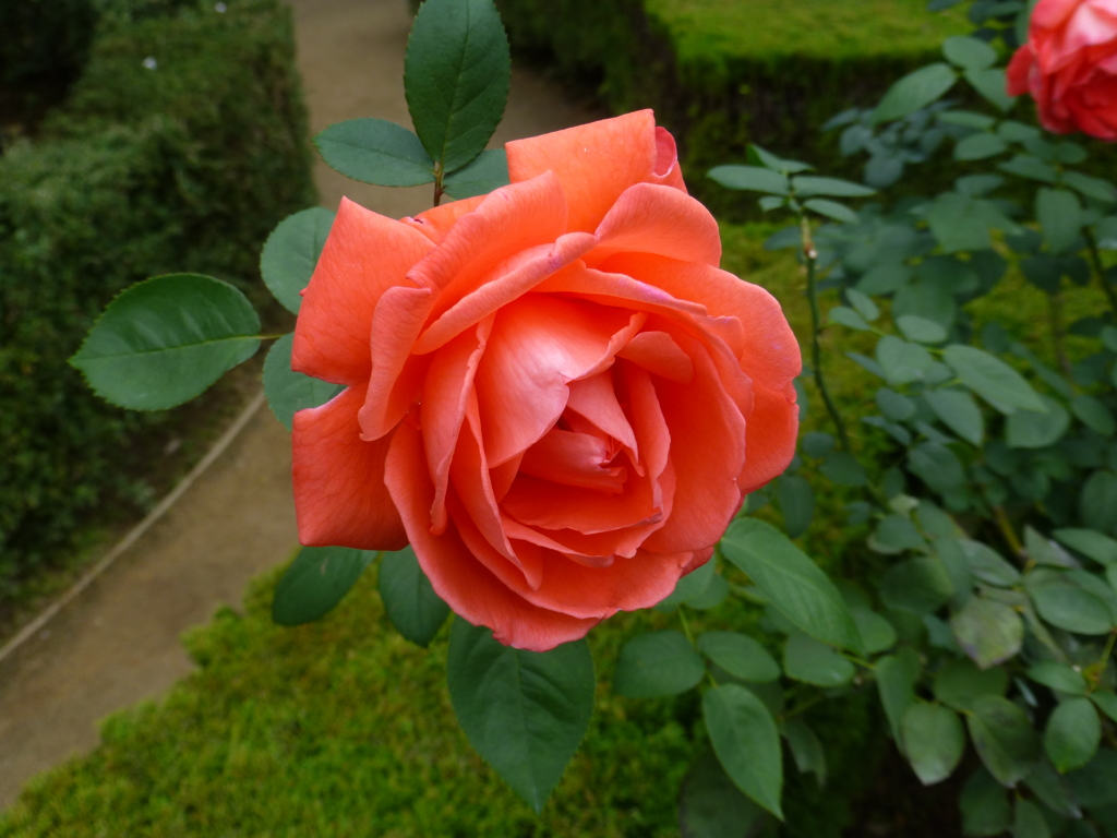 P1000802