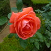 P1000802
