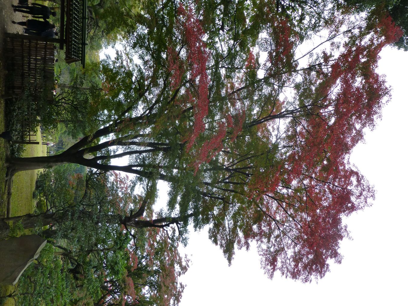 P1000989