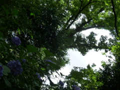 P1000436