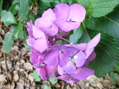 P1000504