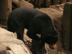 P1070444