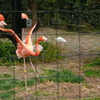 P1070495