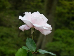 P1000762