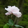 P1000762