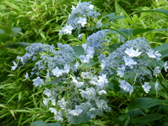 P1000535