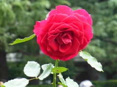 P1000730