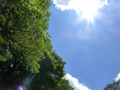 P1000464