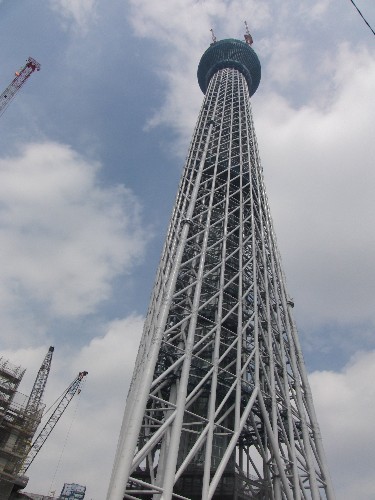 スカイツリ－
