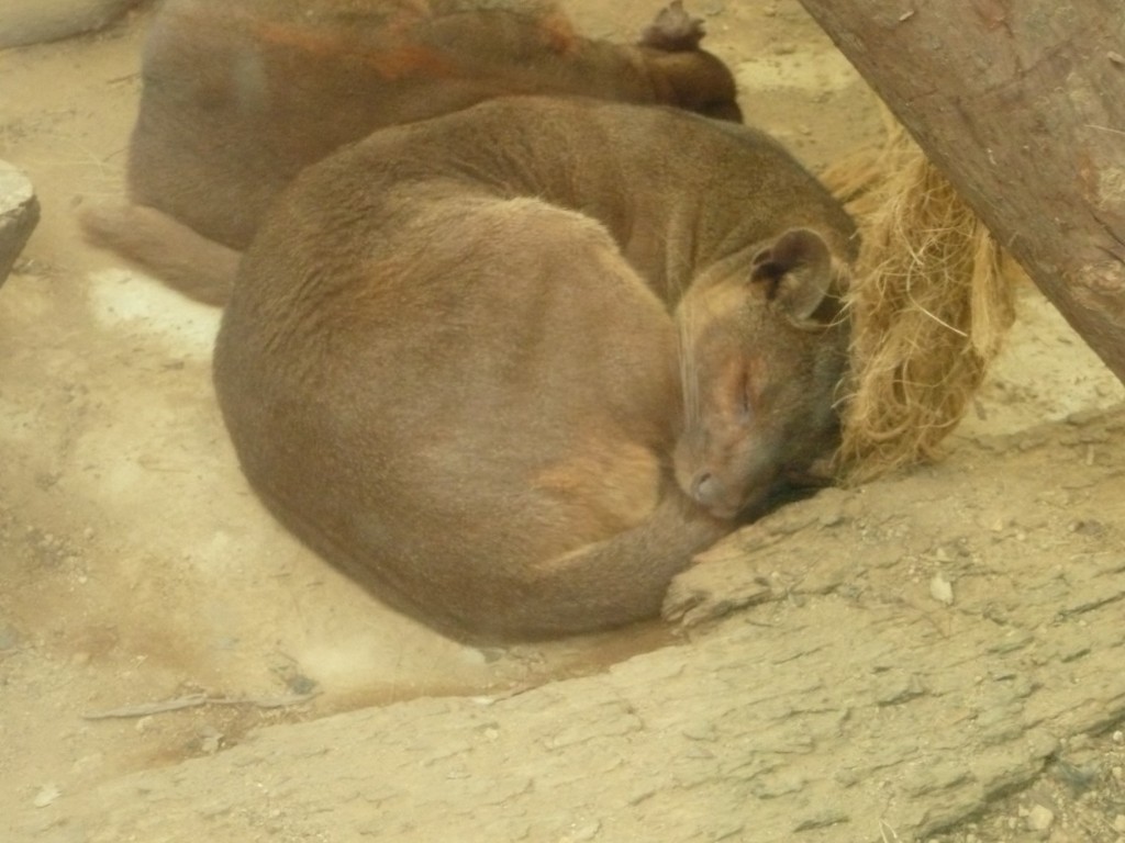 P1070482