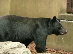 P1070456