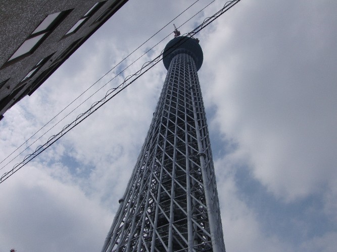 スカイツリ－