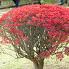 P1010020
