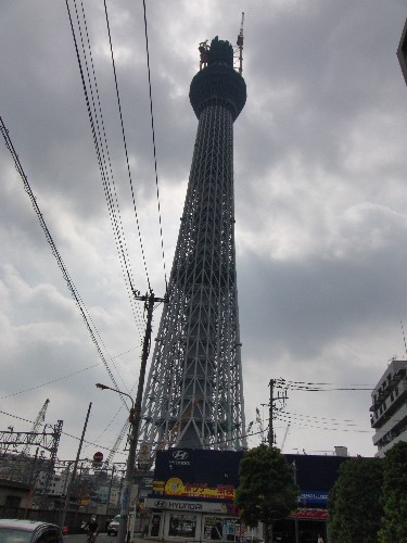 スカイツリ－