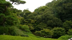 パワースポット　浜田山公園