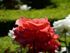 P1000159_1024