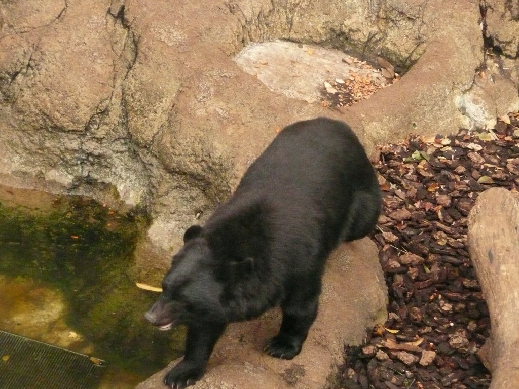 P1070448