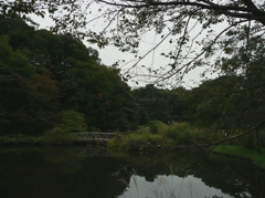 パワースポット　国立科学博物館付属自然教育園