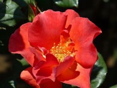 P1000150_1024