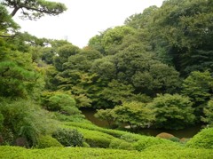 パワースポット　浜田山公園