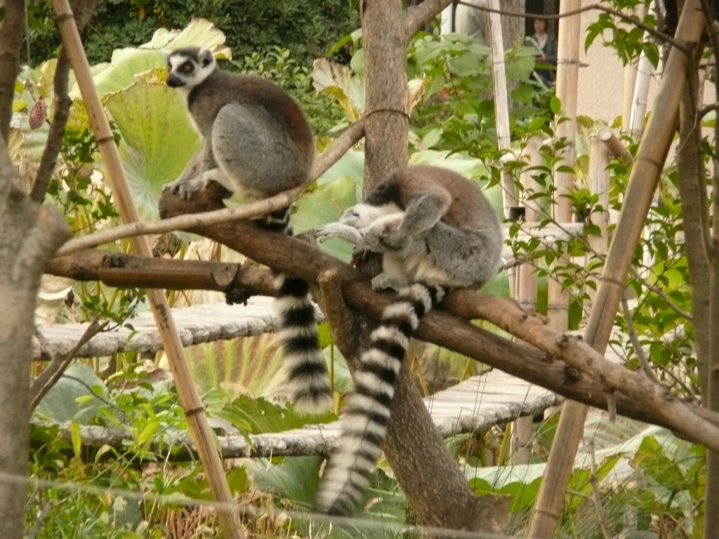 P1070479