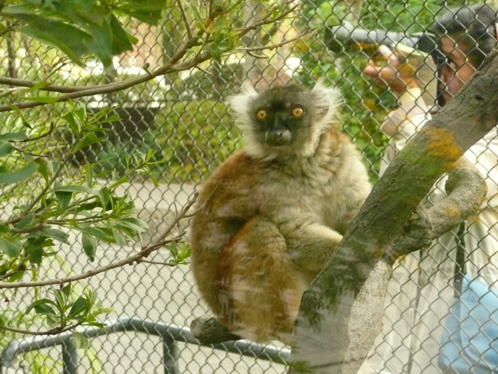 P1070483