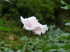P1000760