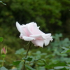 P1000760