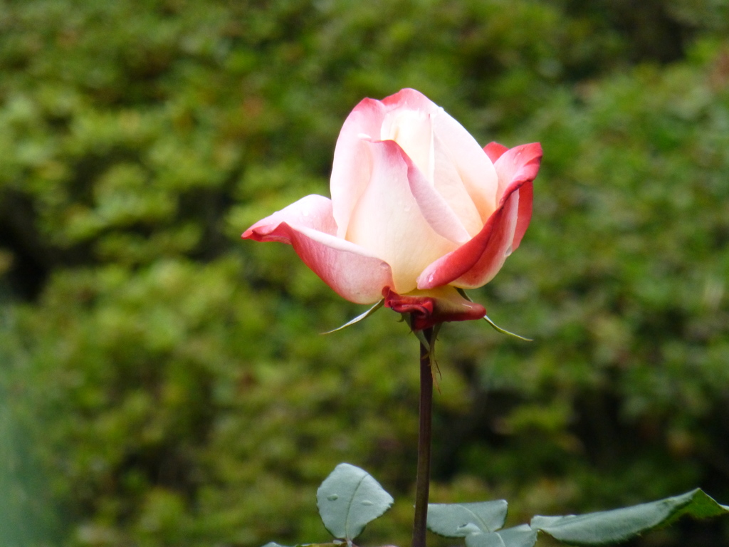 P1000769