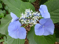 P1000497