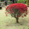 P1010019